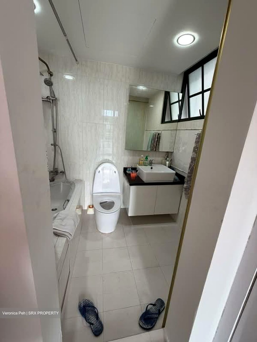 Parc Palais (D21), Condominium #561725821